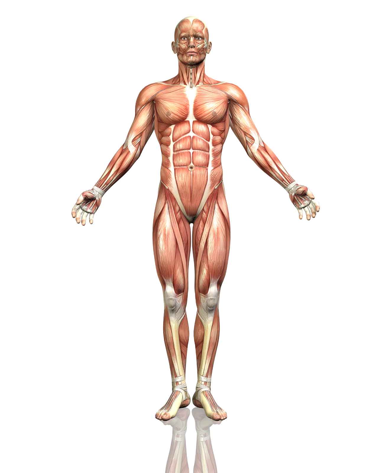 Tu cuerpo tiene mucho que decir. Aquí te ayudamos a escucharlo